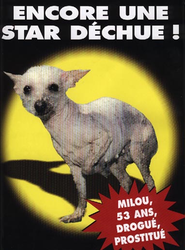 MILOU.JPG