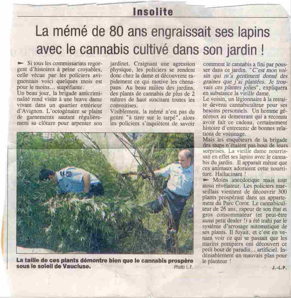 La Mémée les lapins le cannabis.jpg