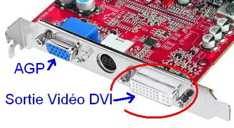 Sortie vidéo DVI & AGP.JPG